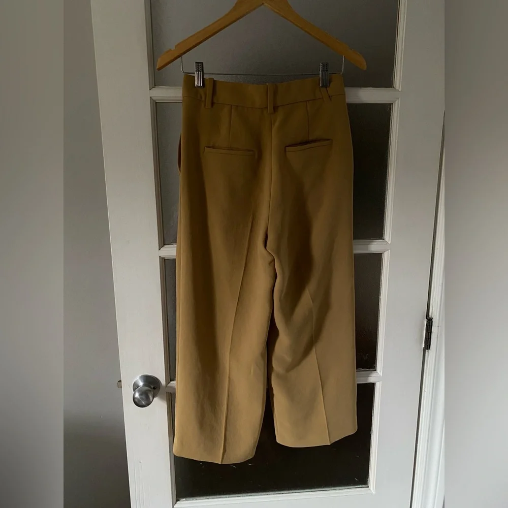 Wilfred Aritzia Wide-Leg Pleated Trousers in Camel - Picture 4 of 6